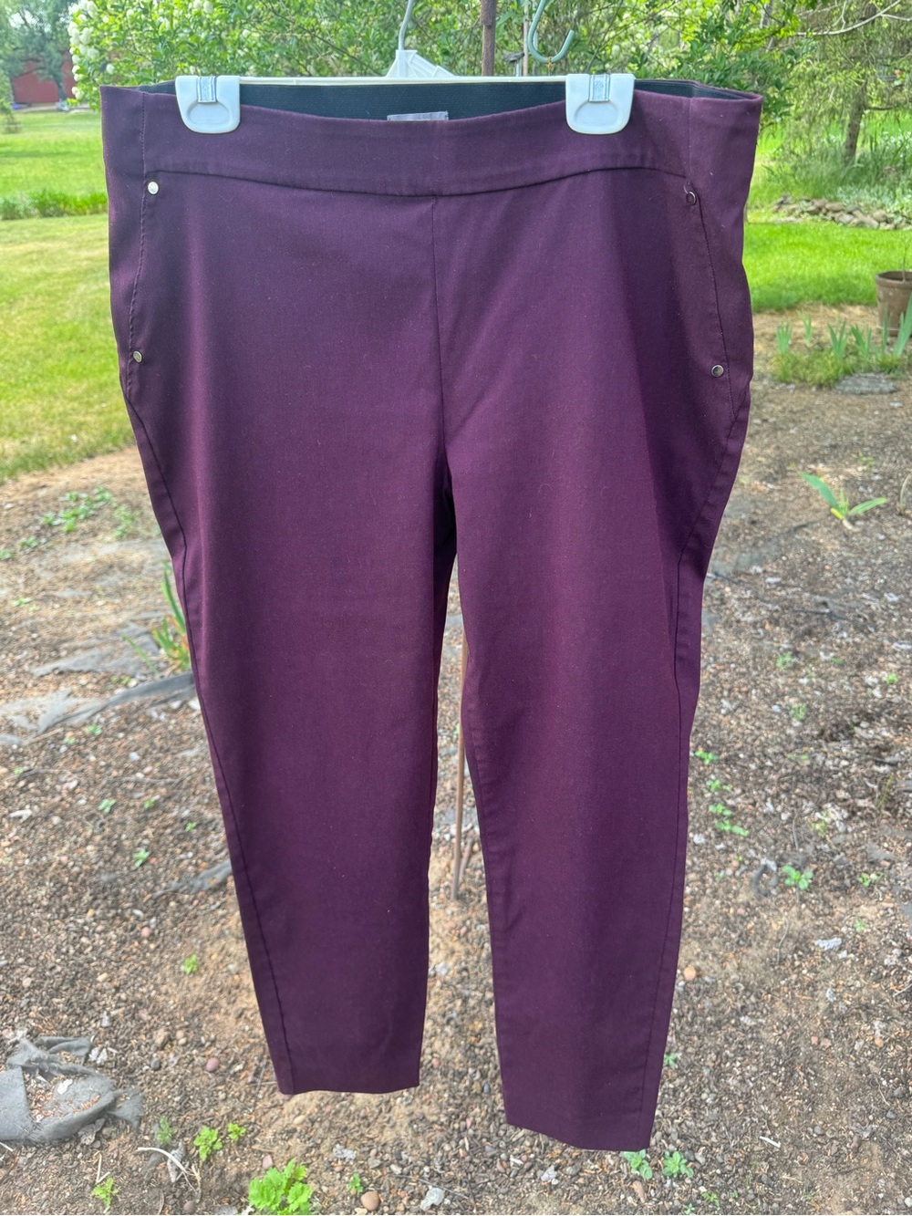 Maurices Skinny Pants in Plum